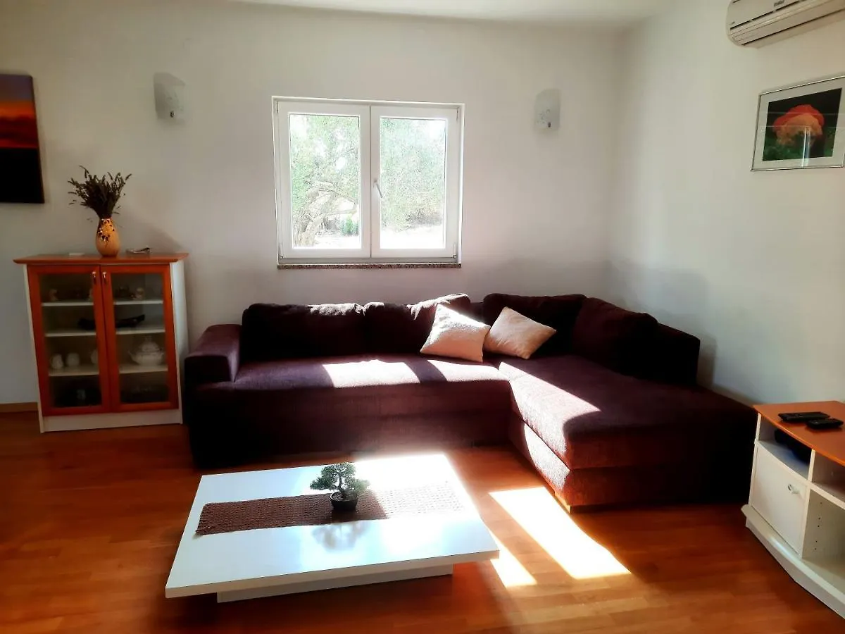 Oliva Apartamento Banj